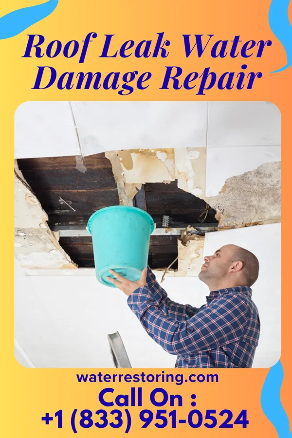 Roof Leak Water Damage Repair in Onarga, IL