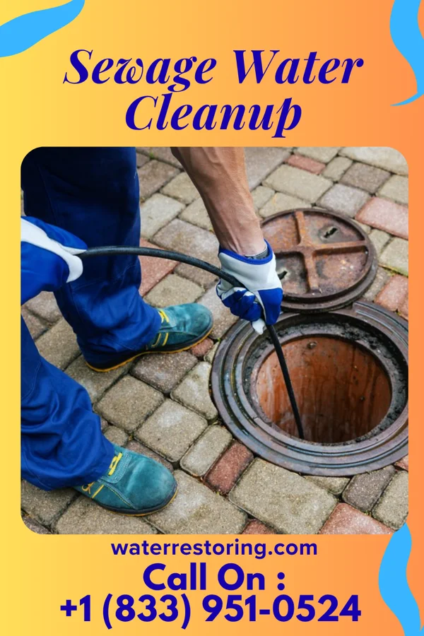 Sewage Water Cleanup in Onarga, IL